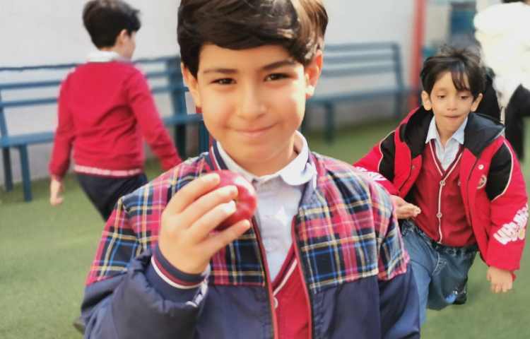 میان وعده بهمن ماه 5