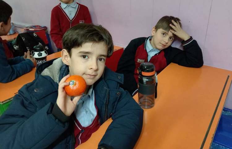 میان وعده بهمن ماه 5