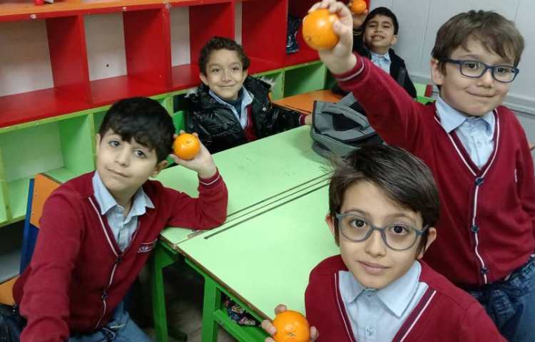 میان وعده بهمن ماه 5