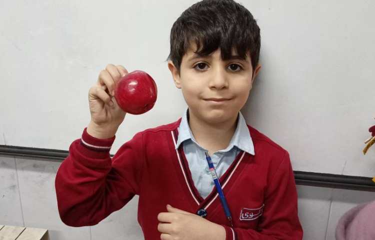 میان وعده بهمن ماه 5