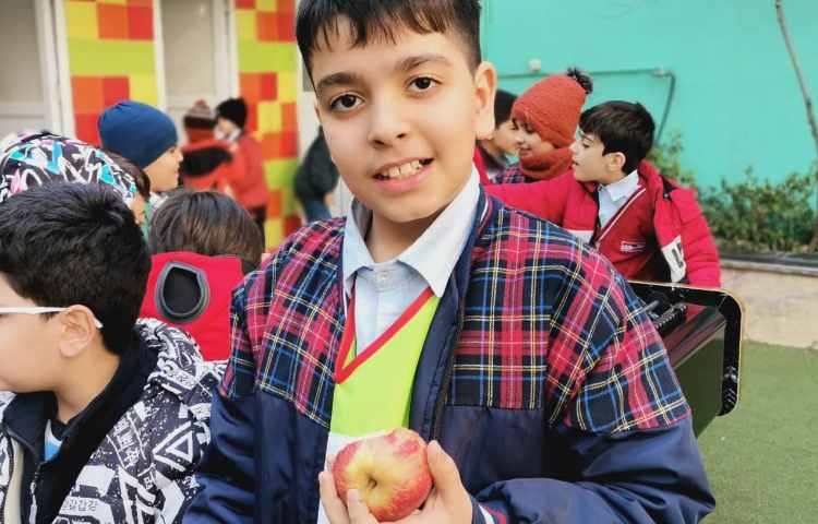 میان وعده بهمن ماه 6