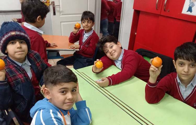 میان وعده بهمن ماه 6