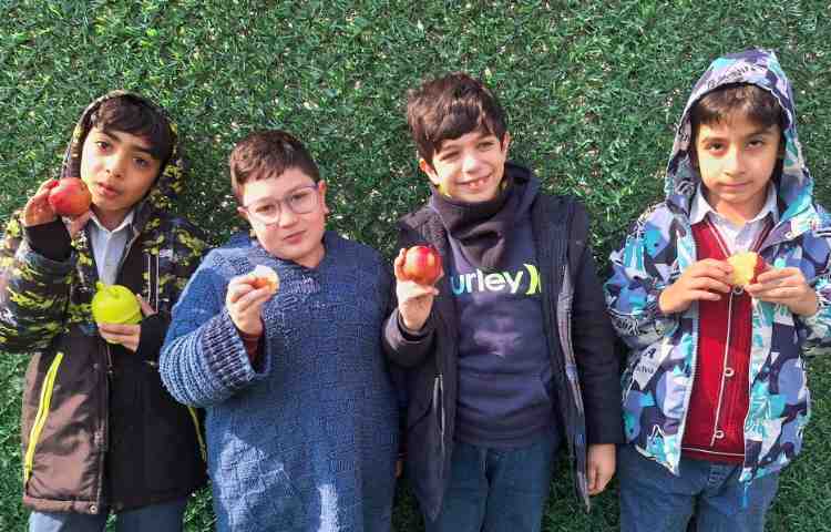 میان وعده بهمن ماه 7