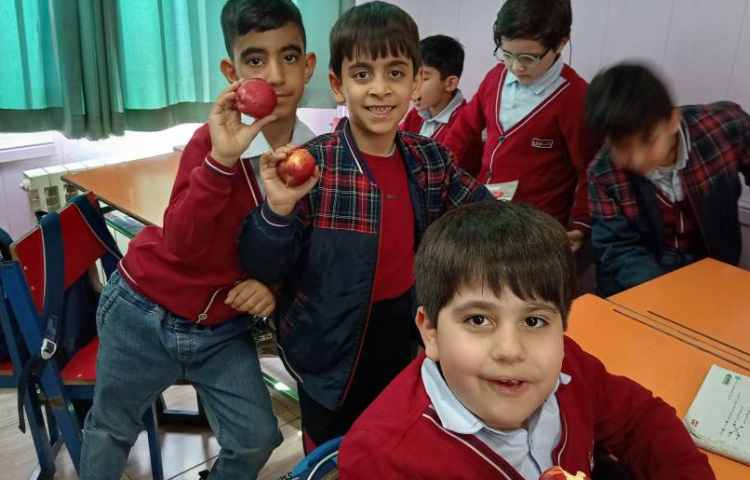 میان وعده بهمن ماه 7