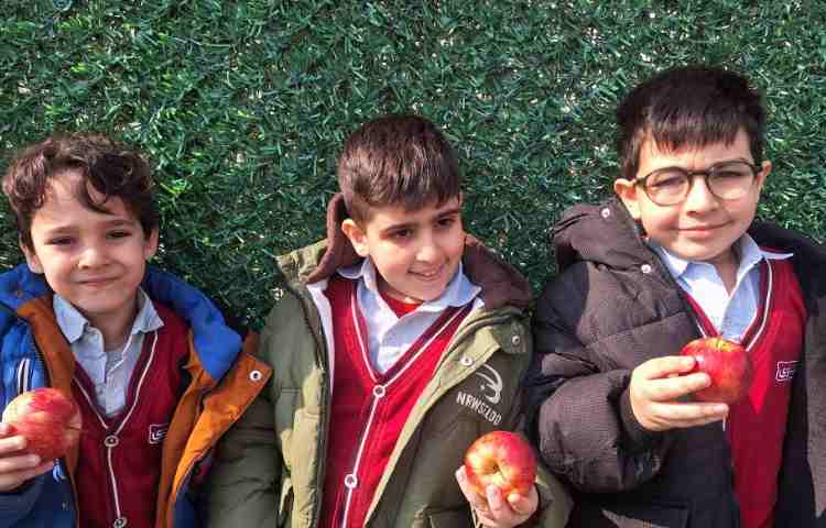 میان وعده بهمن ماه 8