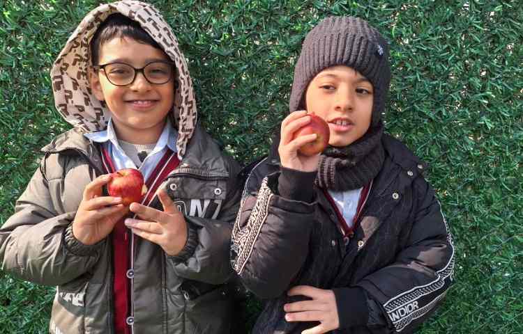 میان وعده بهمن ماه 9