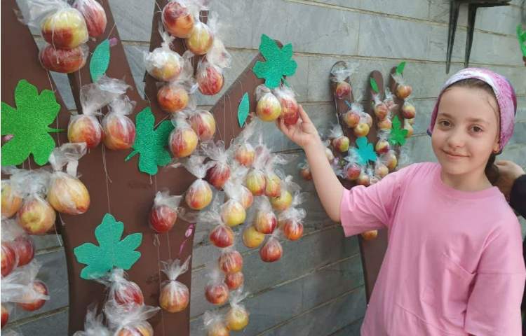 میان وعده تابستانی 1