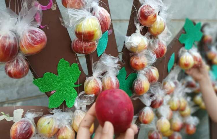 میان وعده تابستانی 2