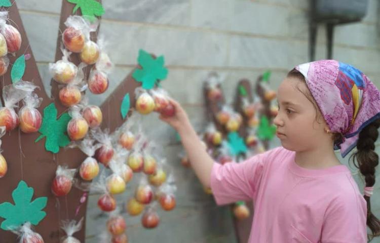 میان وعده تابستانی 3