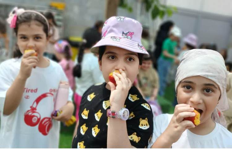 میان وعده تابستانی 6