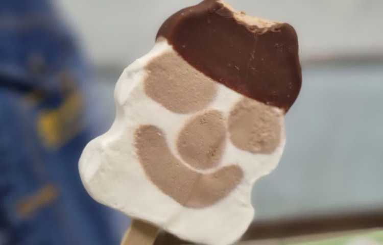 میان وعده خوشمزه دبستان علوی 3