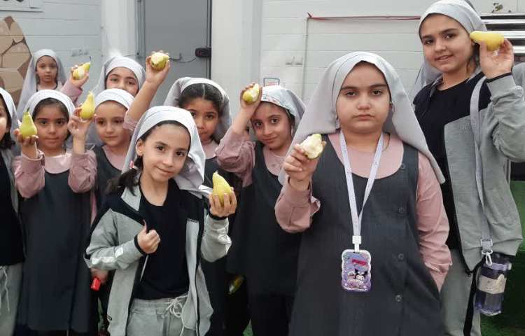 میان وعده خوشمزه 2