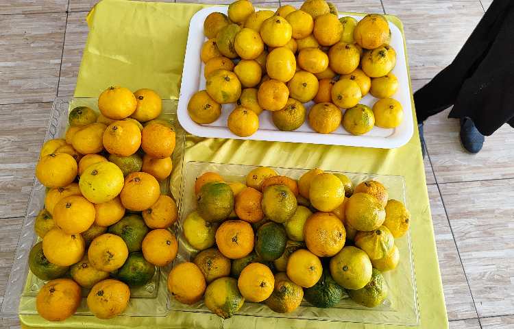 :میان وعده دانش آموزان عزیز در دبستان علوی 1