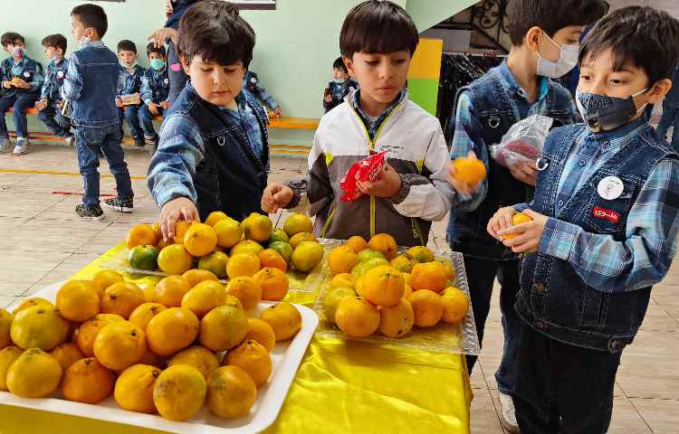 :میان وعده دانش آموزان عزیز در دبستان علوی 3