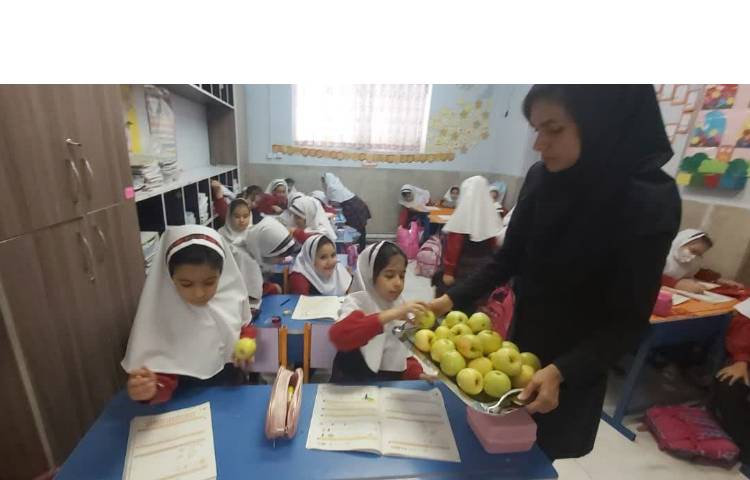 میان وعده دانش آموزی و نظارت بر لقمه صبحانه 2