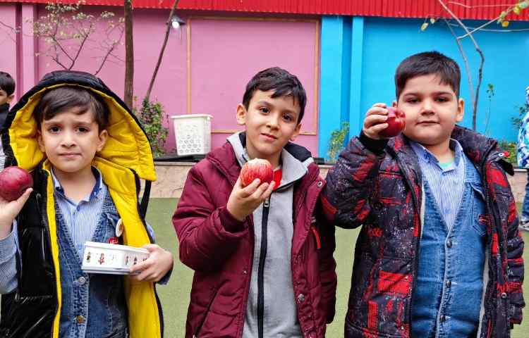 میان وعده دی ماه 1