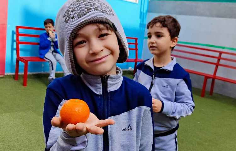 میان وعده دی ماه 1