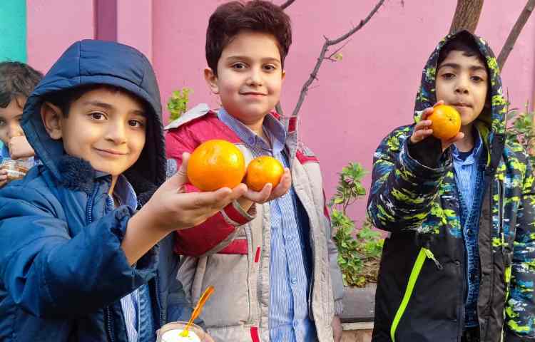 میان وعده دی ماه 1