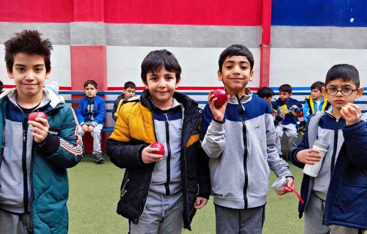 میان وعده دی ماه 1