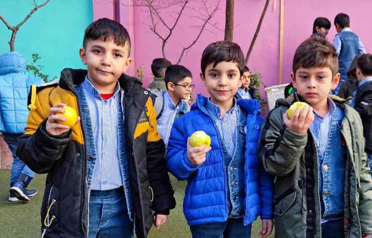 میان وعده دی ماه 1