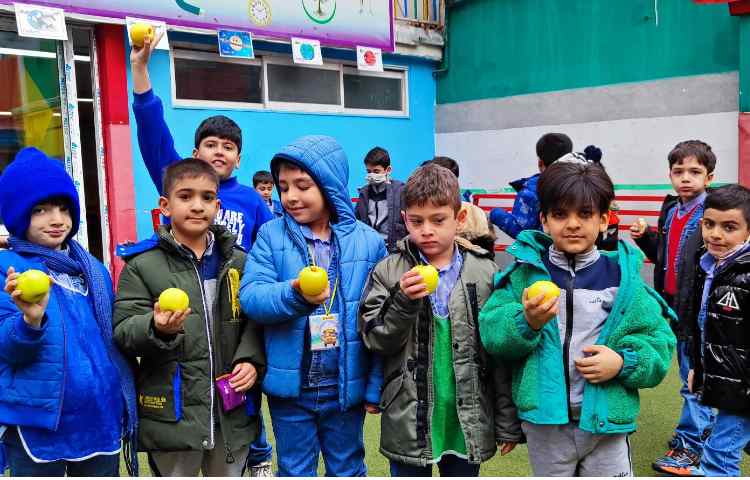 میان وعده دی ماه 1