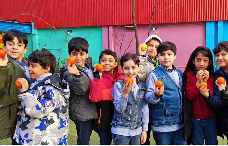 میان وعده دی ماه 1