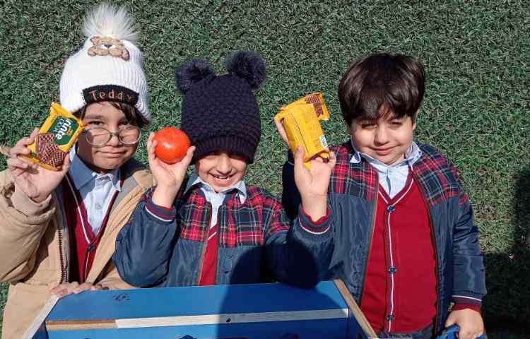 میان وعده دی ماه 1