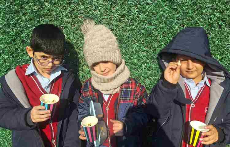 میان وعده دی ماه 11