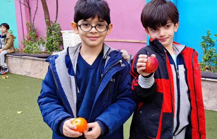 میان وعده دی ماه 2