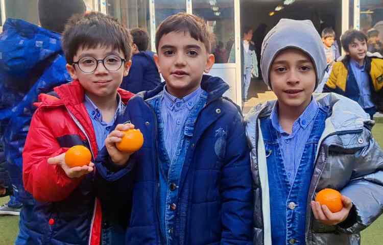 میان وعده دی ماه 2