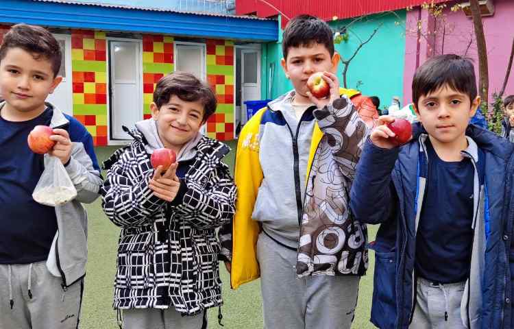 میان وعده دی ماه 2