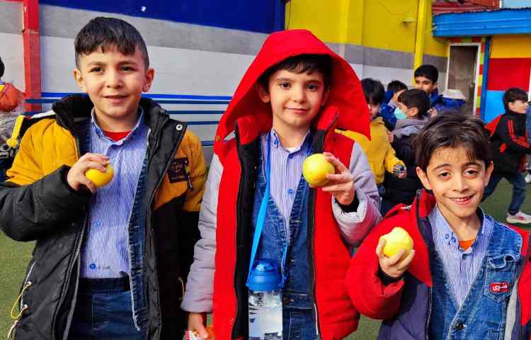 میان وعده دی ماه 2