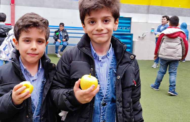 میان وعده دی ماه 2