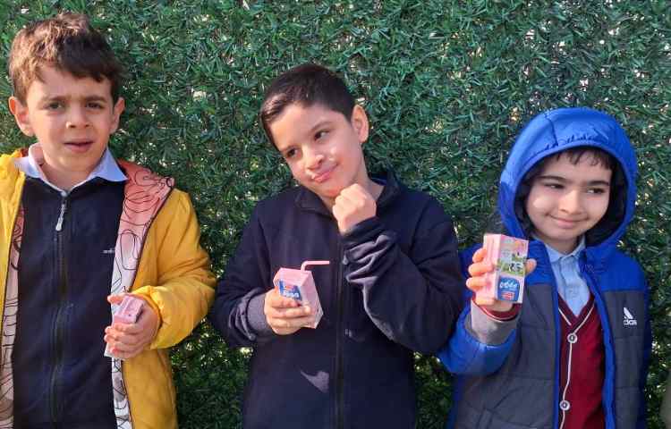 میان وعده دی ماه 2