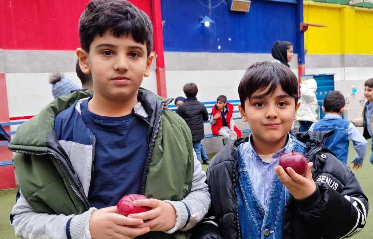 میان وعده دی ماه 3