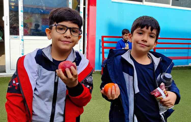 میان وعده دی ماه 3