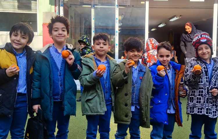 میان وعده دی ماه 3