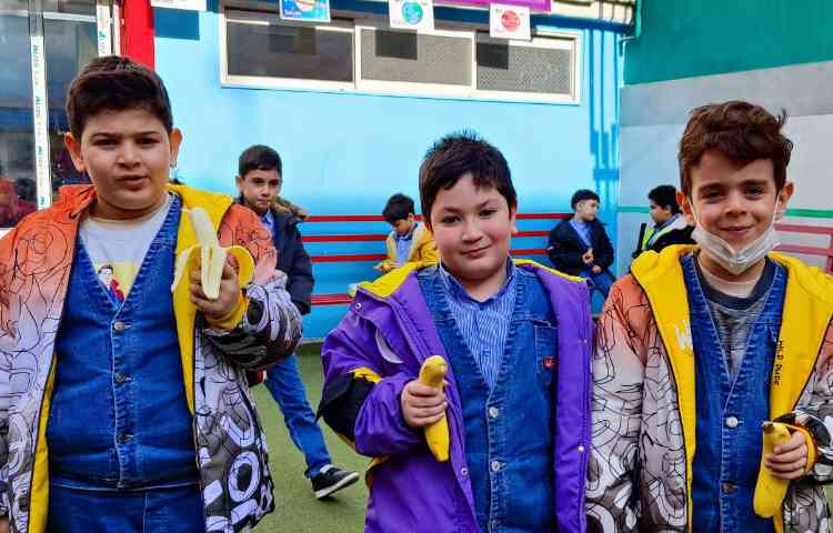 میان وعده دی ماه 3