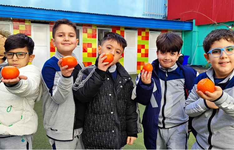 میان وعده دی ماه 3