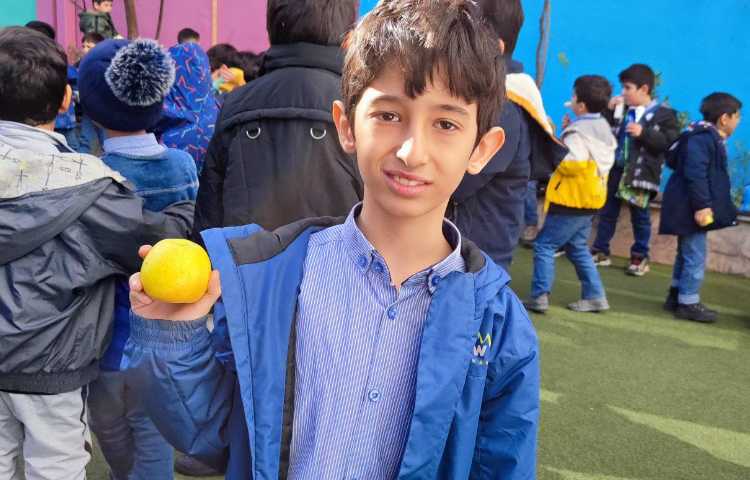 میان وعده دی ماه 3