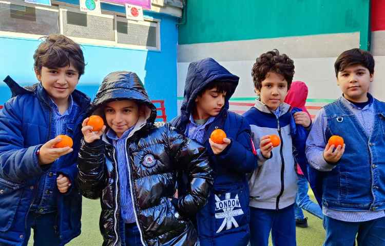 میان وعده دی ماه 3