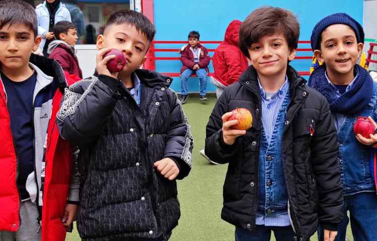 میان وعده دی ماه 4