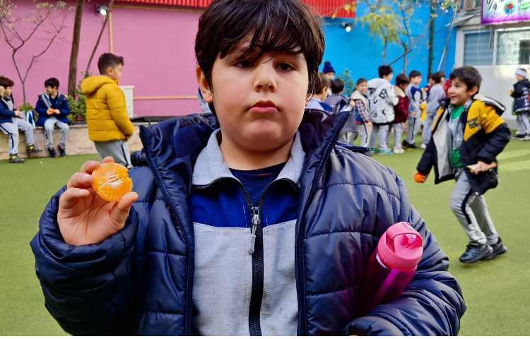 میان وعده دی ماه 4