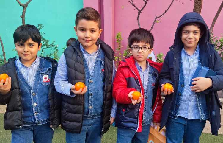 میان وعده دی ماه 4