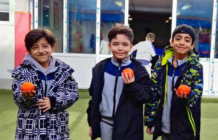 میان وعده دی ماه 4