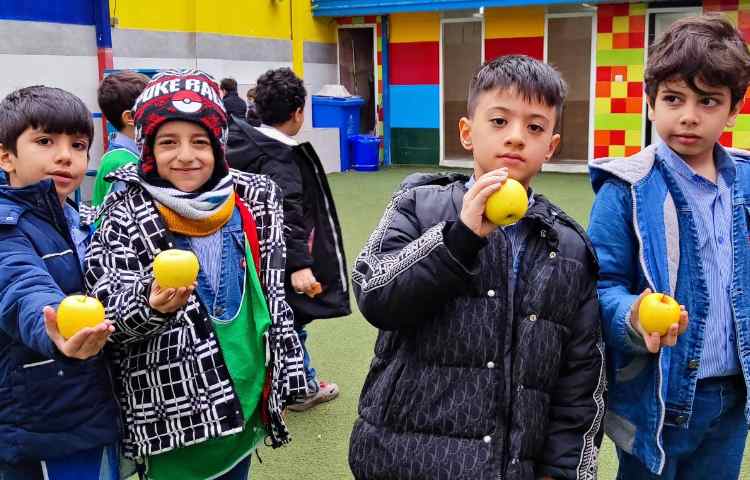 میان وعده دی ماه 4