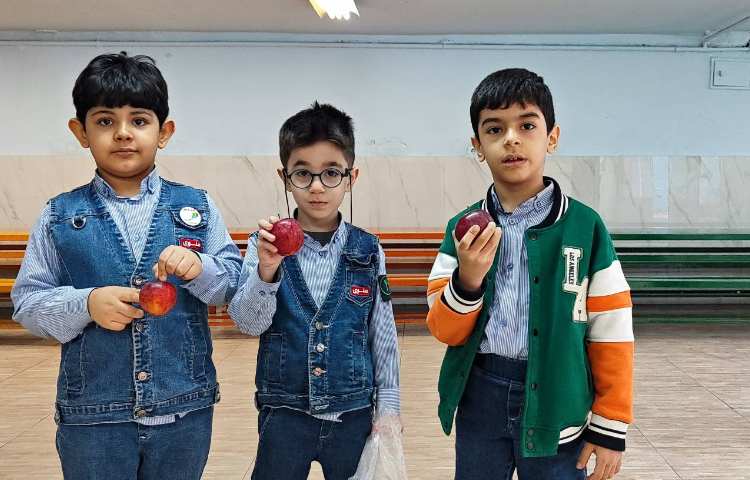 میان وعده دی ماه 5