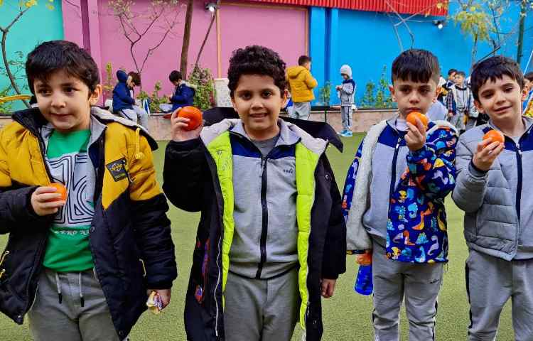 میان وعده دی ماه 5