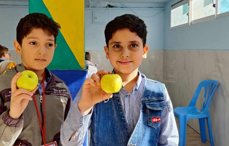 میان وعده دی ماه 5