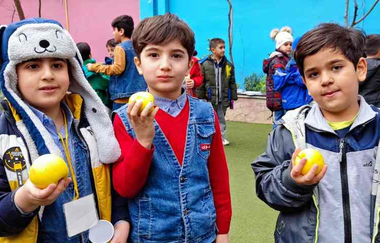 میان وعده دی ماه 5